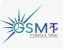 Logo for GSMT Consulting