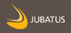 jubatus consulting