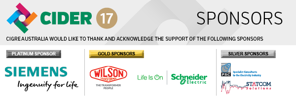 CIDER 17 sponsors panel2